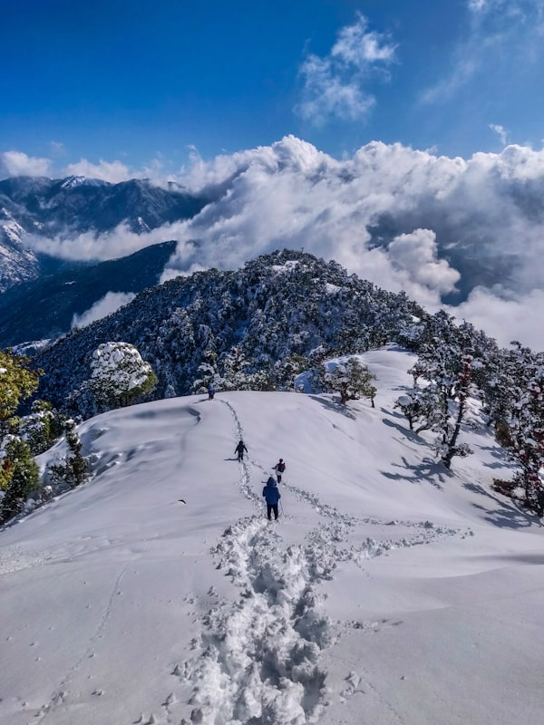 Manali Adventure 74