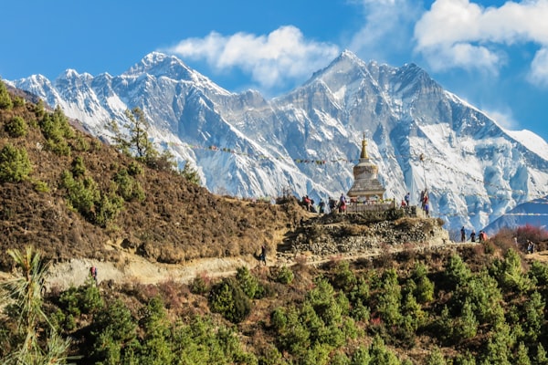 Darjeeling Hills 20